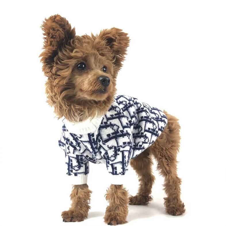 Buy Dior Dog Clothes online