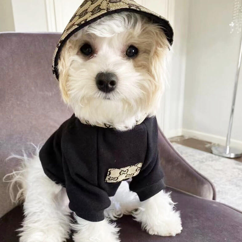 Gucci dog clothing, 2023 puppy clothes