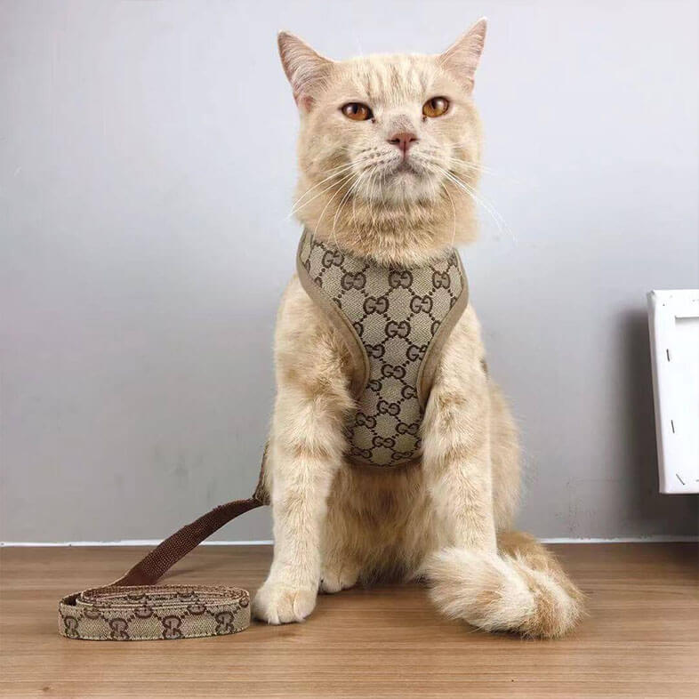 Furberry Cucci LV Designer Cat Dog Harness and Leash Set