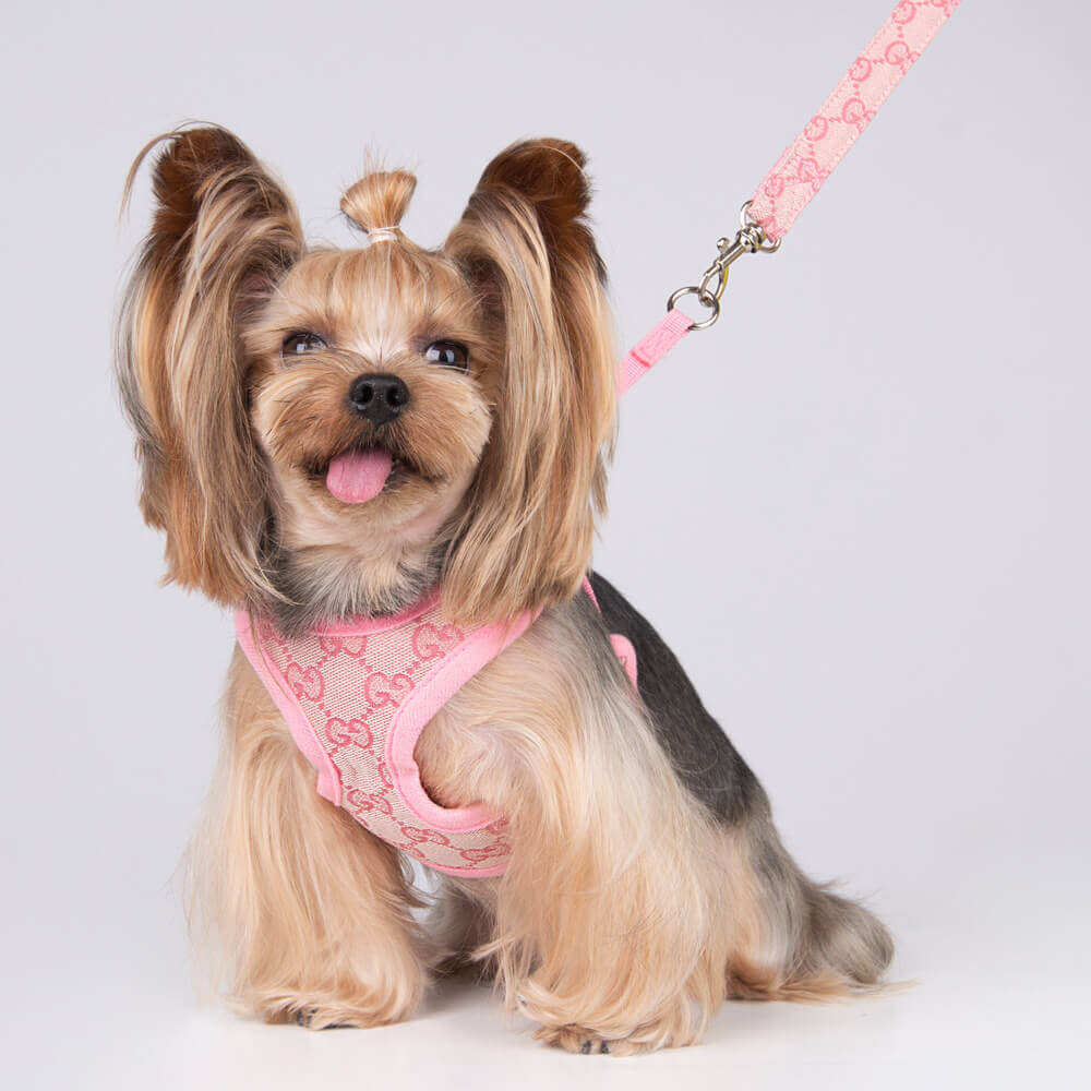 Gucci, Dog, Pink Gucci Dog Harness Xs Not Purse