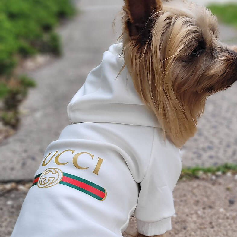 parallel Øde Direkte Gucci inspired dog hoodies , Large dog clothes | Dogboutiqueshop