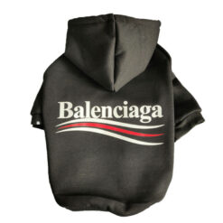 Balenciaga dog clothes