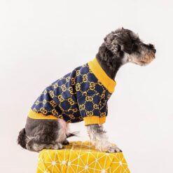 Gucci dog sweaters
