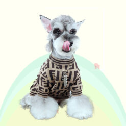 Fendi sweater for dog