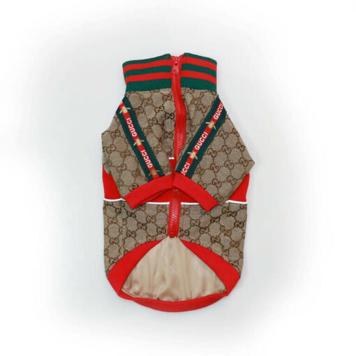 Gucci dog christmas outfit