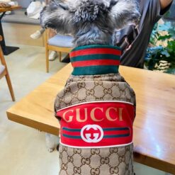 Gucci dog christmas outfit