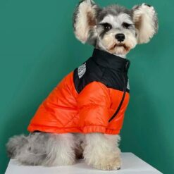 Luxury puppy clothes for winter