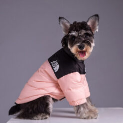 Luxury puppy clothes for winter