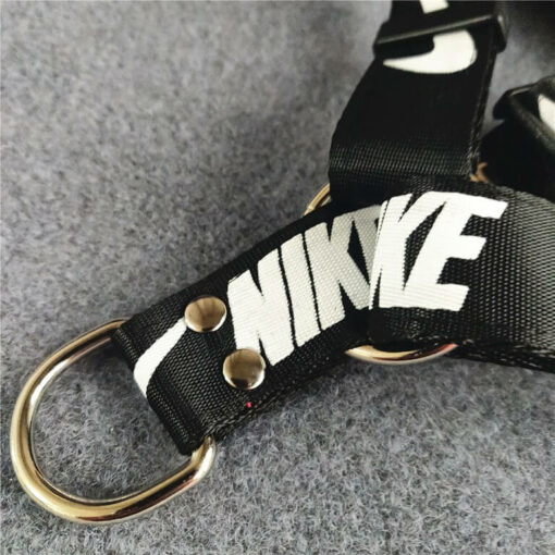 Nike dog leash and collar