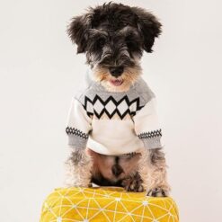Prada small dog sweaters