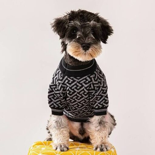 Versace best dog sweaters