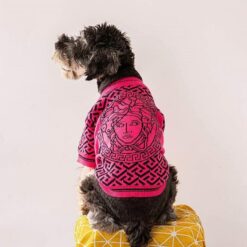 Versace best dog sweaters