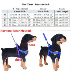 Gucci dog harness