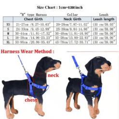 dog seat belt with harness
