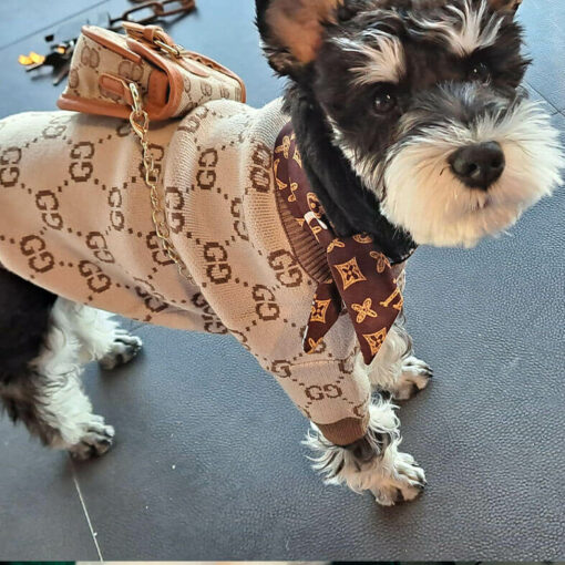 gucci sweater for dogs
