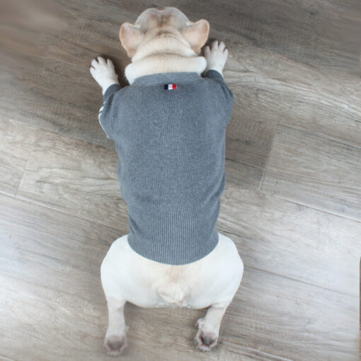 knitted dog sweater