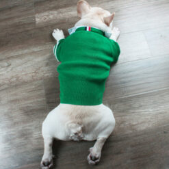 knitted dog sweater