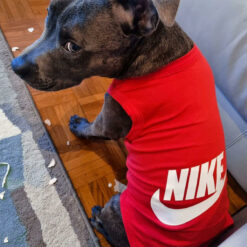 nike shirts for dogs