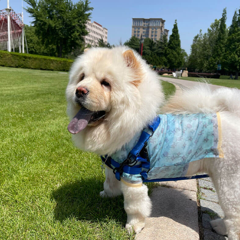 Puppy louis vuitton clothes, dog summer shirt