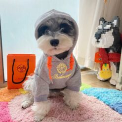 Balenciaga dog clothes hoodie