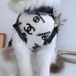 Chanel dog outfit