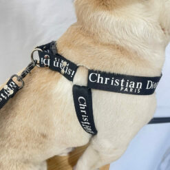 DIOR best harness for small dogs