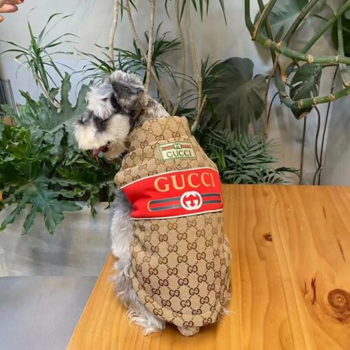 GUCCI dog coat with harness