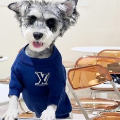 louis vuitton sweater for dogs