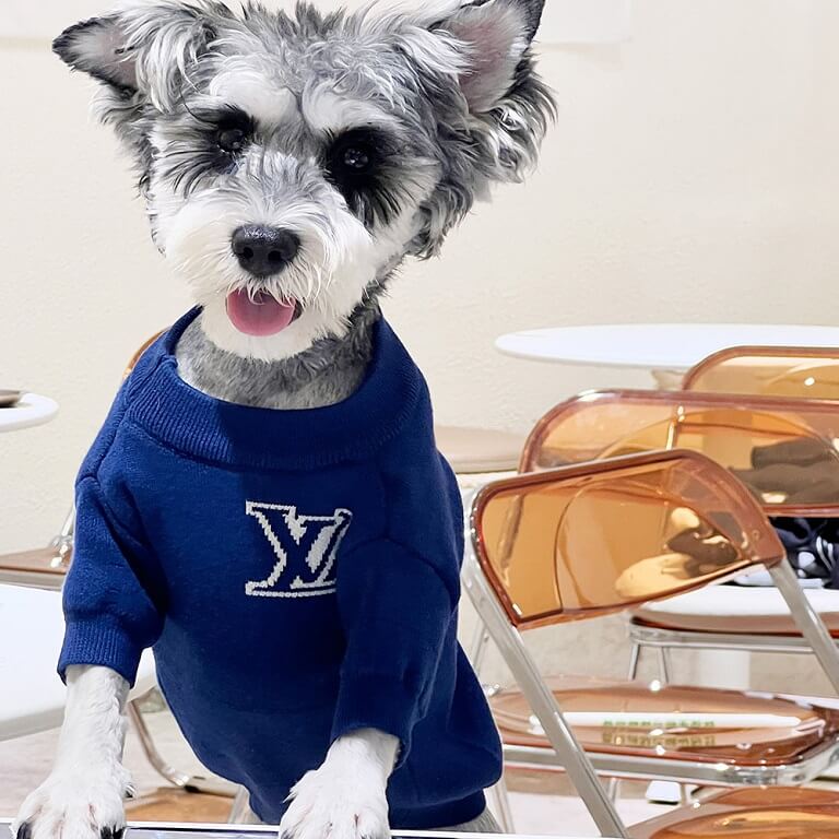 Louis Vuitton Dog Jacket