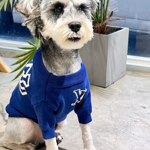 Louis Vuitton dogs sweater