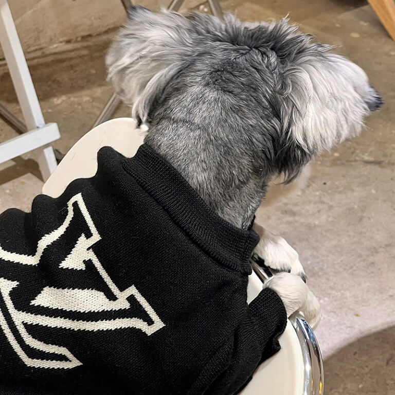 .com: Louis Vuitton Dog Sweater