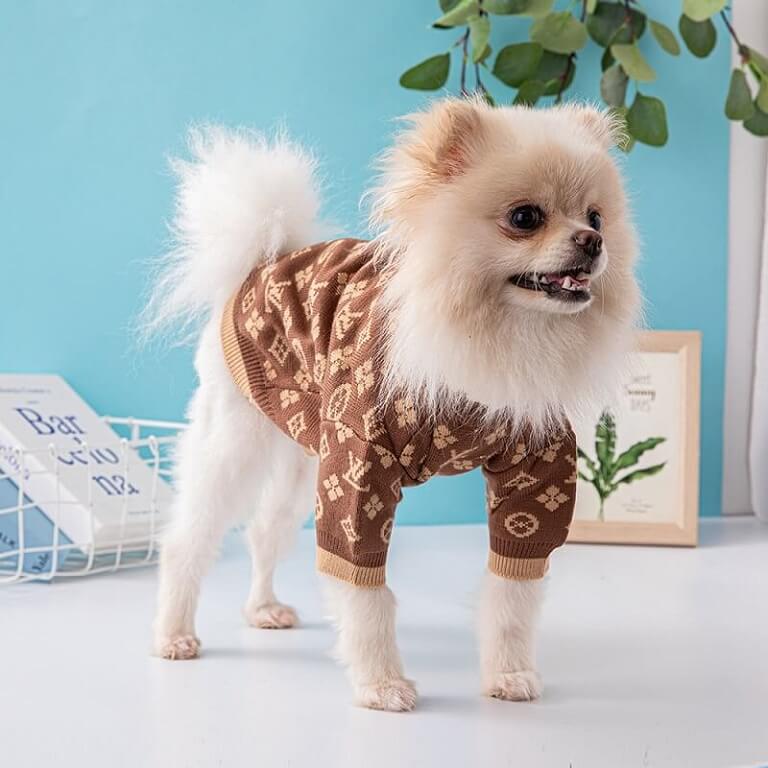 Bettedeals Designer Pet Clothes — Louis Vuitton Hoodie for your dog