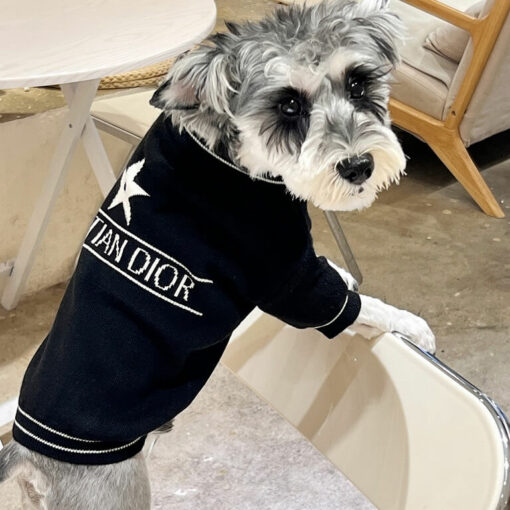 Luxury dog clothing brands