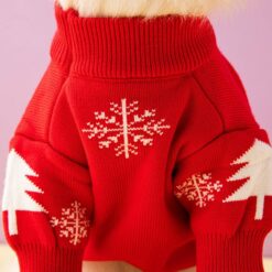 personalized christmas dog sweater