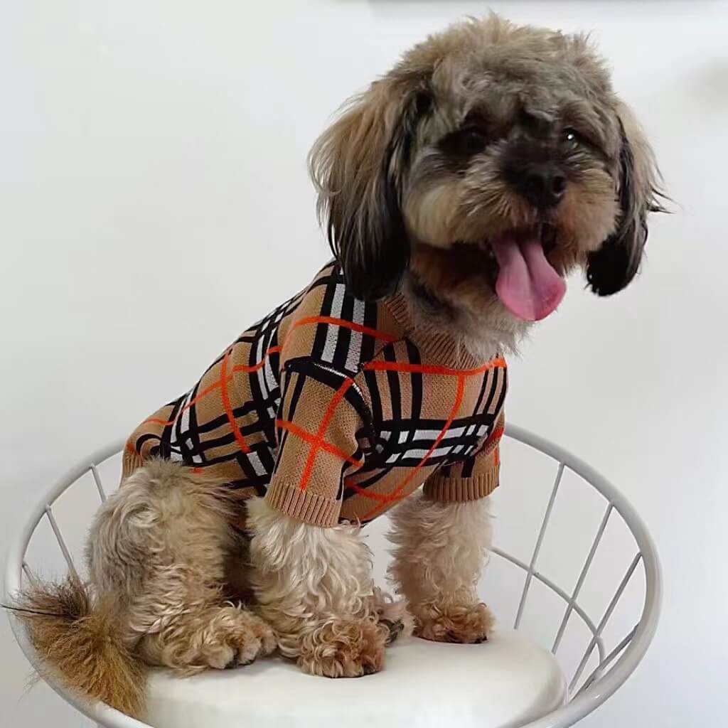 Luxury dog sweaters burberry