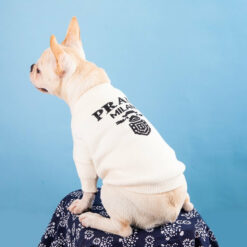luxury dog fashion sweater