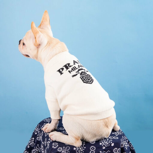 luxury dog fashion sweater
