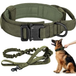 military dog collars