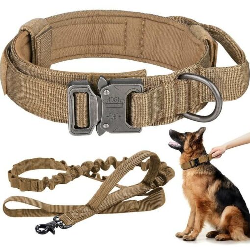 military dog collars
