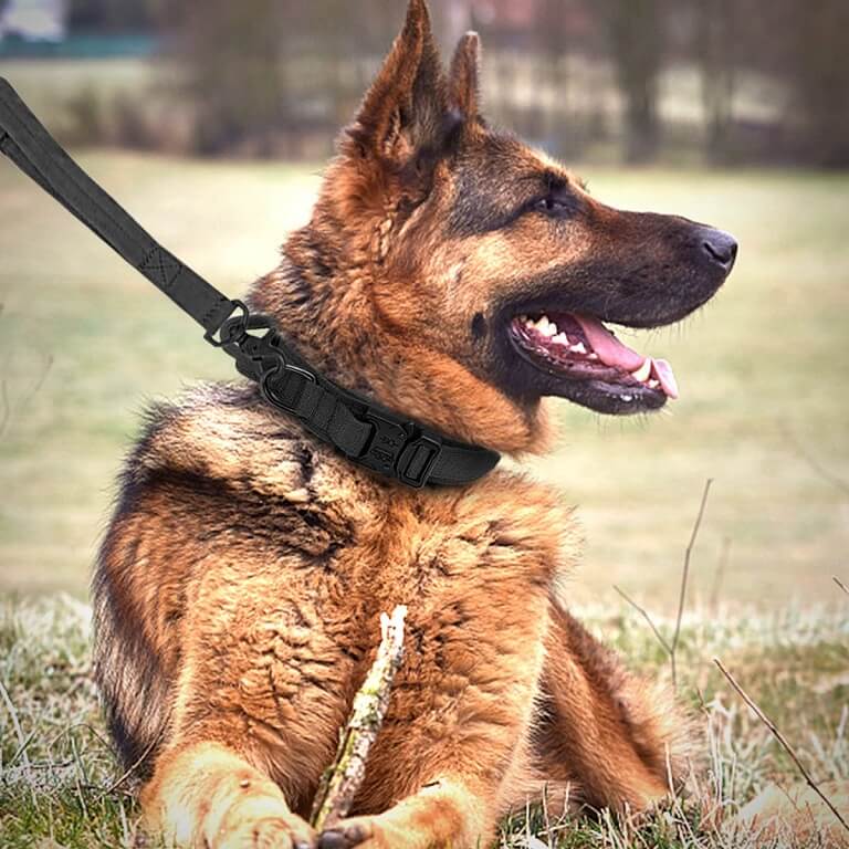 Tactical Dog Collars