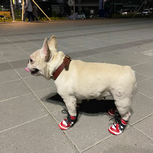 nike dog shoes