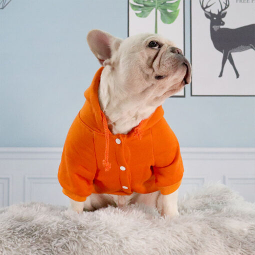 custom dog hoodie