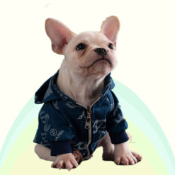 high end designer dog clothes