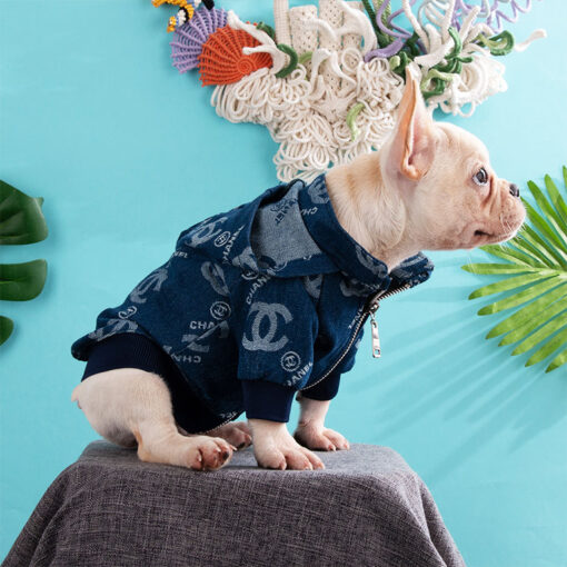 high end designer dog clothes